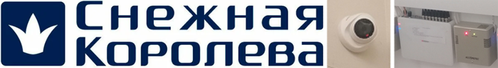 Снежная королева камеры регистратор